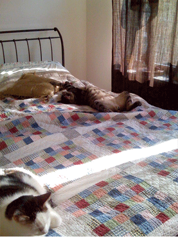 murray_sleep2