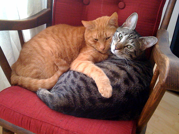 snuggin snuggin