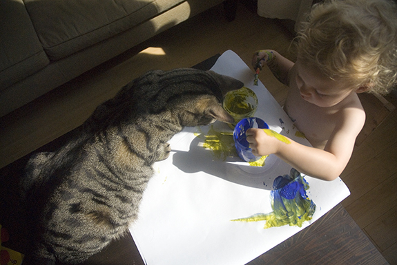 _DSC0031 _DSC0031
