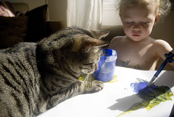 _DSC0033 _DSC0033