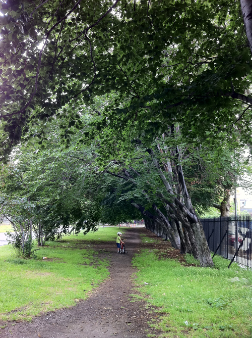 TreeEm