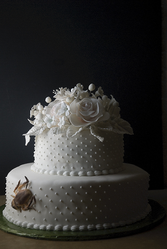 CakeRoach2