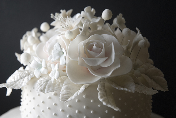 CloseUpFlowers