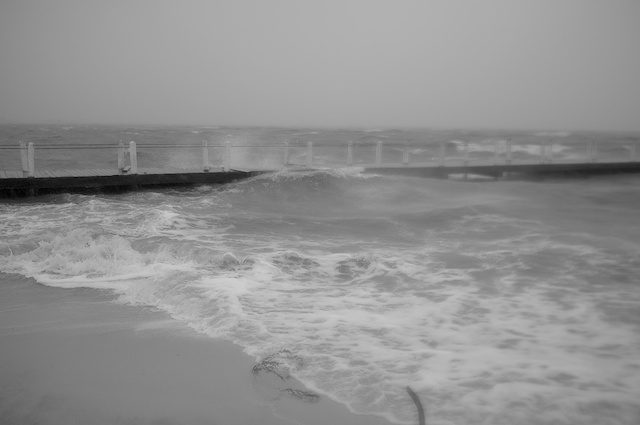 DSCF0668 (1)